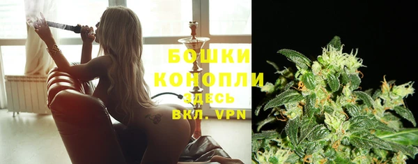 бошки Белокуриха